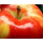 Obuoliai: ne tik sveikatai, bet ir grožiui